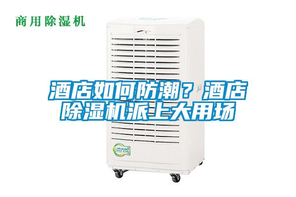酒店如何防潮?酒店除湿机派上大用场