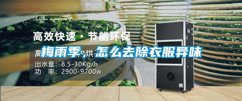 梅雨季,怎么去除衣服异味