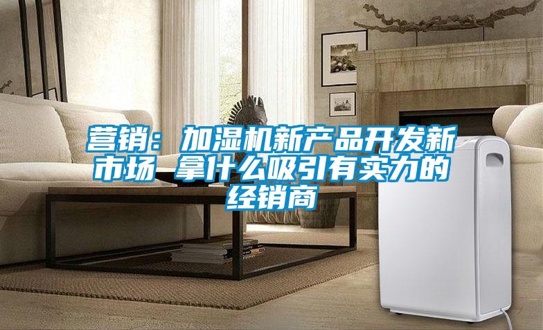 营销:加湿机新产品开发新市场 拿什么吸引有实力的经销商