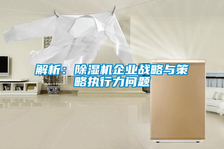 解析:除湿机企业战略与策略执行力问题