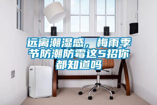 远离潮湿感,梅雨季节防潮防霉这5招你都知道吗