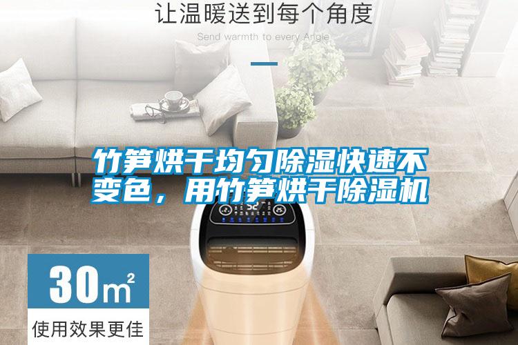 竹笋烘干均匀除湿快速不变色,用竹笋烘干除湿机