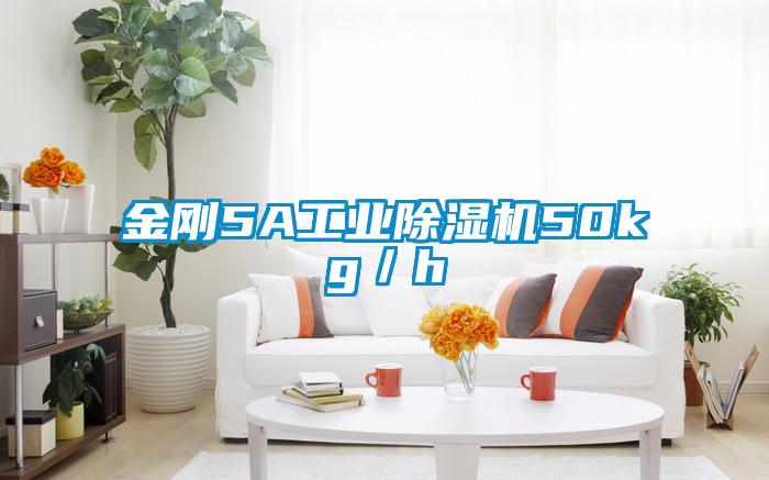金刚5A工业除湿机50kg/h