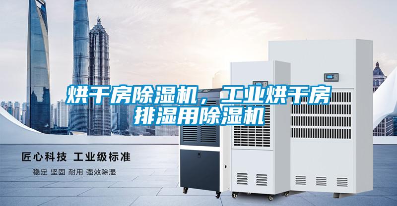 烘干房除湿机,工业烘干房排湿用除湿机