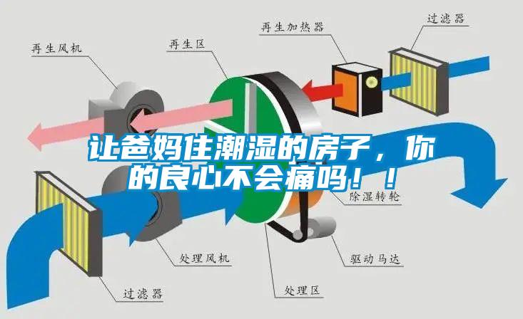 让爸妈住潮湿的房子,你的良心不会痛吗!!