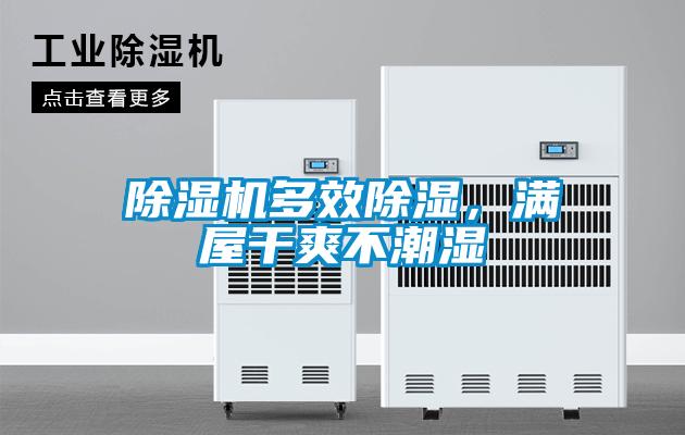 除湿机多效除湿,满屋干爽不潮湿