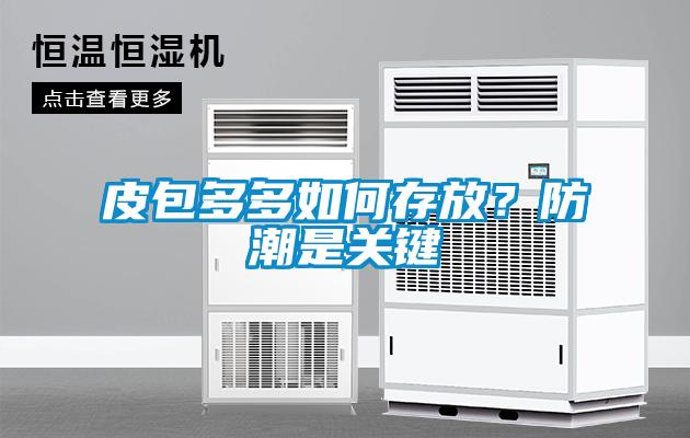 皮包多多如何存放?防潮是关键