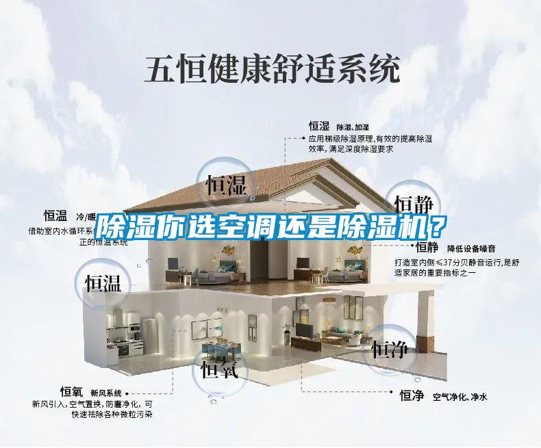 除湿你选空调还是除湿机?