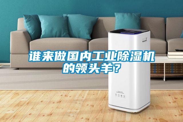谁来做国内工业除湿机的领头羊?