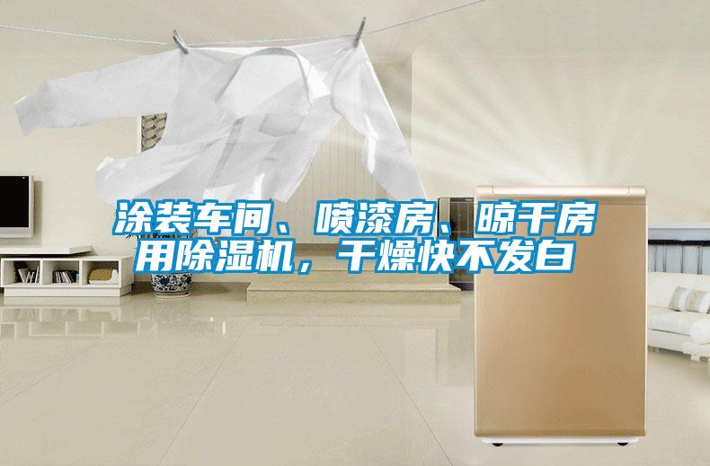 涂装车间、喷漆房、晾干房用除湿机,干燥快不发白