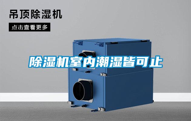 除湿机室内潮湿皆可止