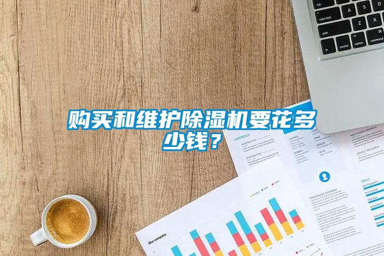 购买和维护除湿机要花多少钱?