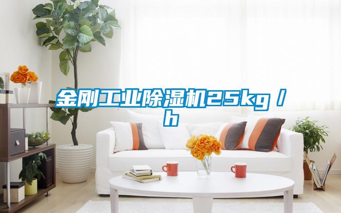金刚工业除湿机25kg/h