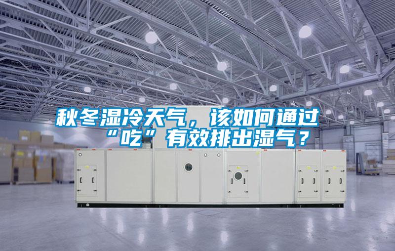 秋冬湿冷天气,该如何通过“吃”有效排出湿气?