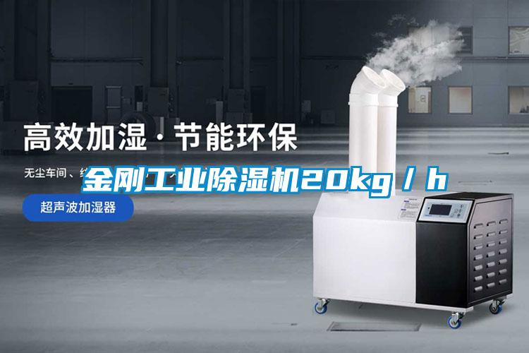金刚工业除湿机20kg/h