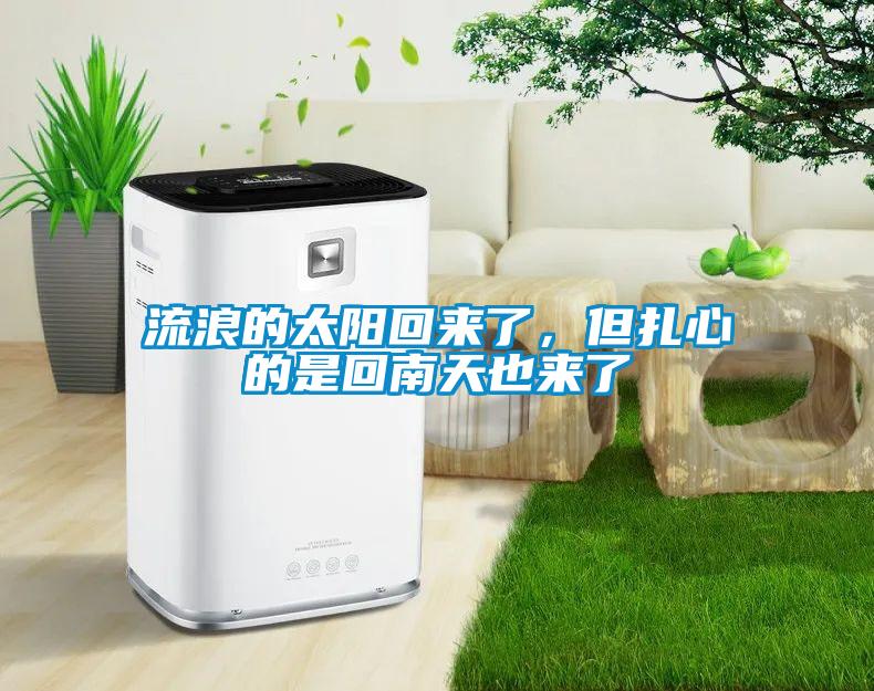 流浪的太阳回来了,但扎心的是回南天也来了