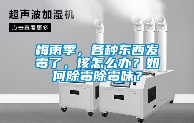 梅雨季,各种东西发霉了,该怎么办?如何除霉除霉味?