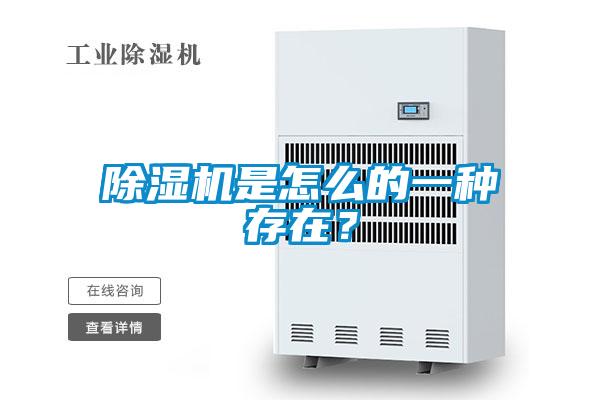 除湿机是怎么的一种存在?