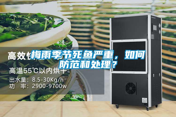 梅雨季节死鱼严重,如何防范和处理?