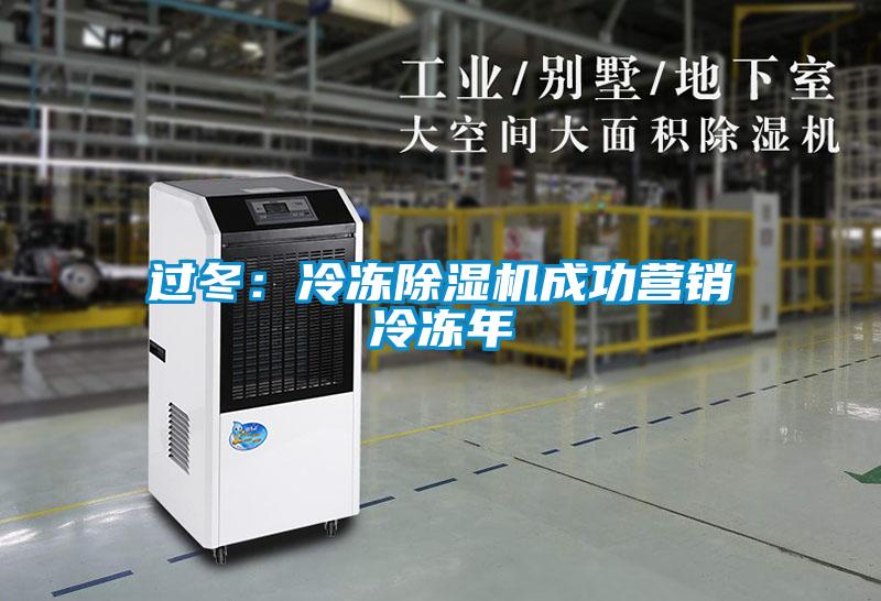 过冬:冷冻除湿机成功营销冷冻年