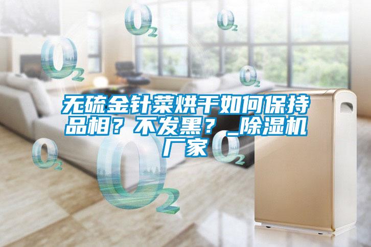 无硫金针菜烘干如何保持品相?不发黑?_除湿机厂家