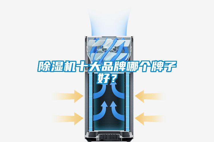 除湿机十大品牌哪个牌子好?