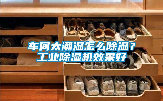 车间太潮湿怎么除湿?工业除湿机效果好