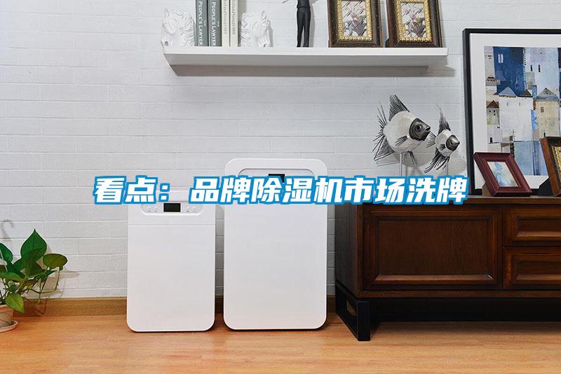 看点:品牌除湿机市场洗牌