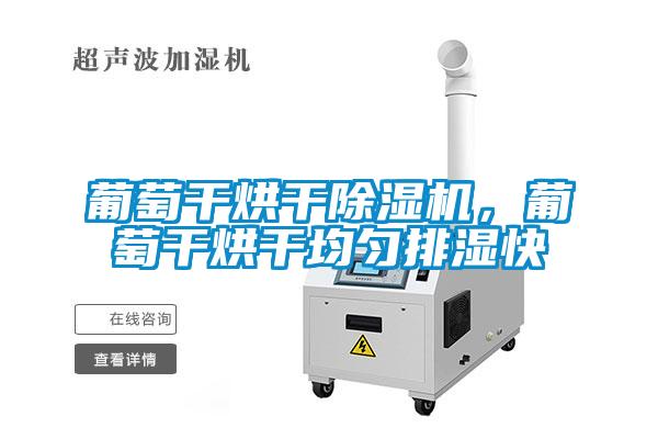 葡萄干烘干除湿机,葡萄干烘干均匀排湿快