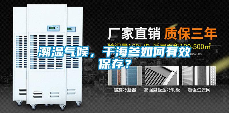 潮湿气候,干海参如何有效保存?