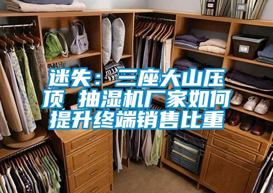 迷失:三座大山压顶 抽湿机厂家如何提升终端销售比重