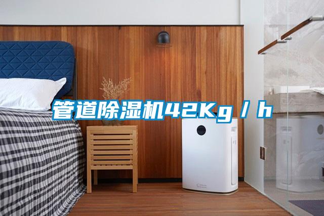 管道除湿机42Kg/h