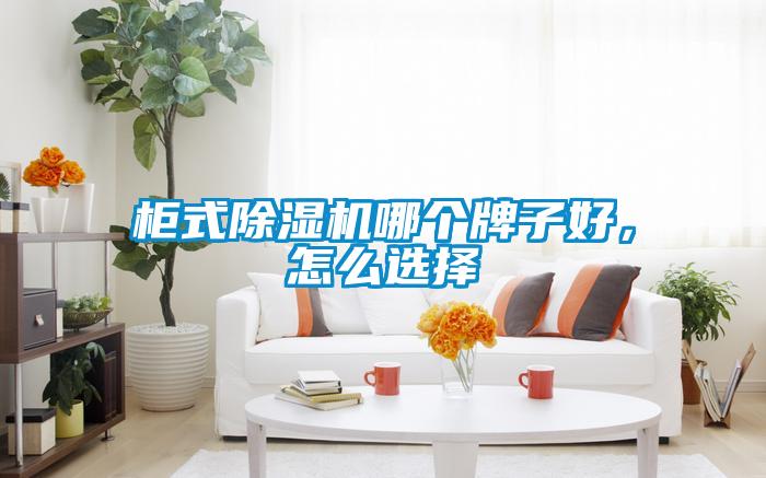 柜式除湿机哪个牌子好,怎么选择