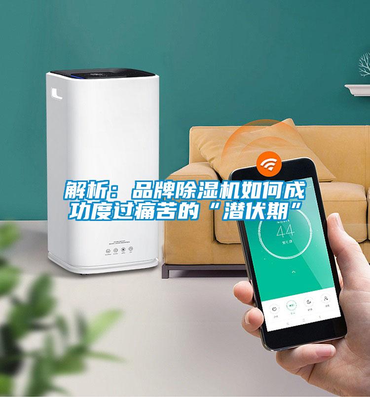 解析:品牌除湿机如何成功度过痛苦的“潜伏期”