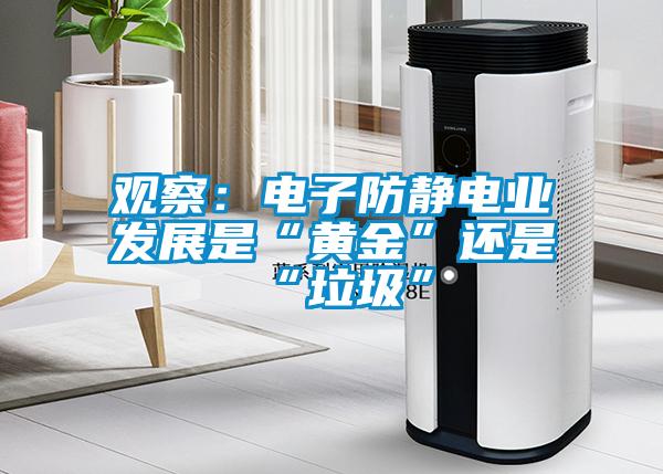 观察:电子防静电业发展是“黄金”还是“垃圾”