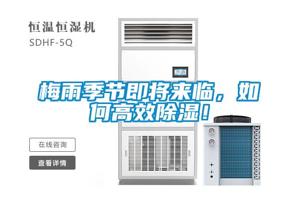 梅雨季节即将来临,如何高效除湿!
