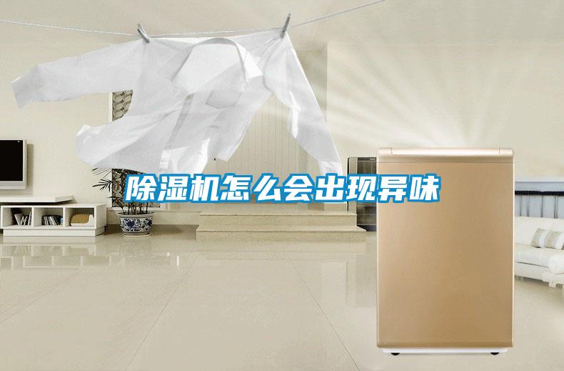 除湿机怎么会出现异味