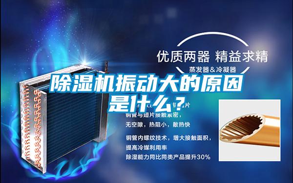 除湿机振动大的原因是什么?