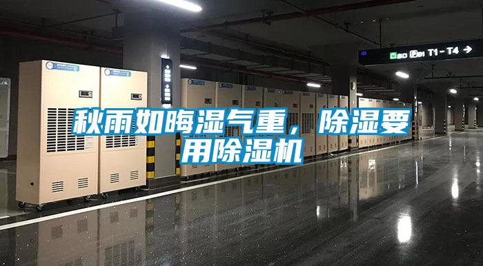 秋雨如晦湿气重,除湿要用除湿机