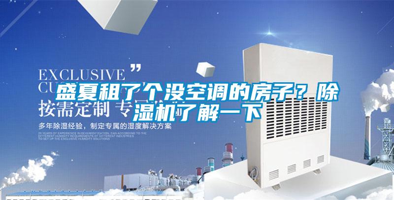盛夏租了个没空调的房子?除湿机了解一下