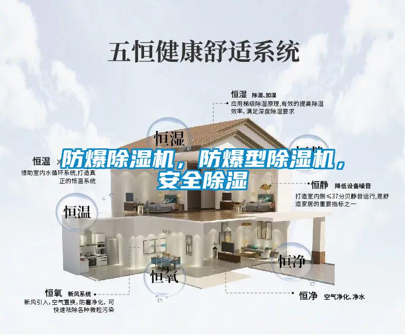 防爆除湿机,防爆型除湿机,安全除湿