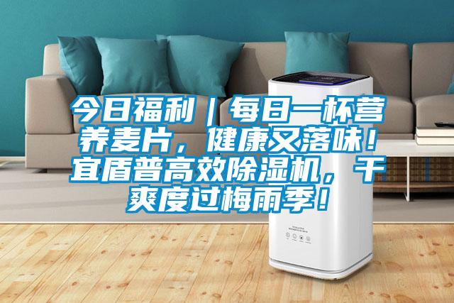 今日福利|每日一杯营养麦片,健康又落味!宜盾普高效除湿机,干爽度过梅雨季!