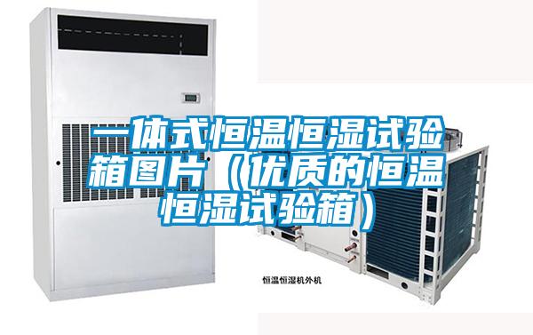 一体式恒温恒湿试验箱图片(优质的恒温恒湿试验箱)