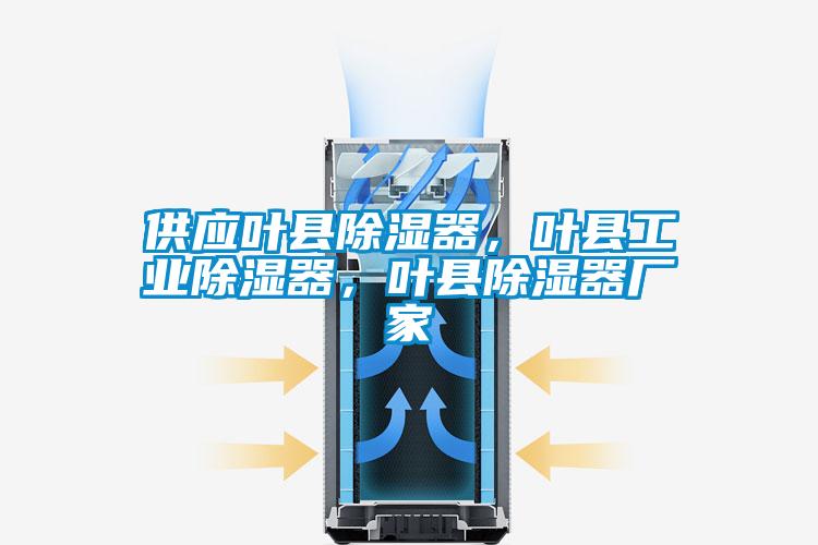 供应叶县除湿器,叶县工业除湿器,叶县除湿器厂家