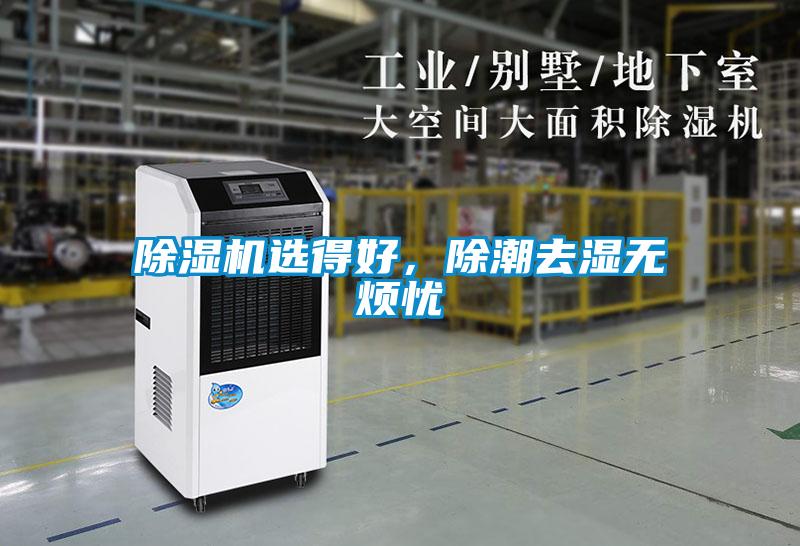 除湿机选得好,除潮去湿无烦忧