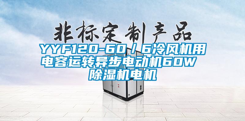 YYF120-60/6冷风机用电容运转异步电动机60W 除湿机电机