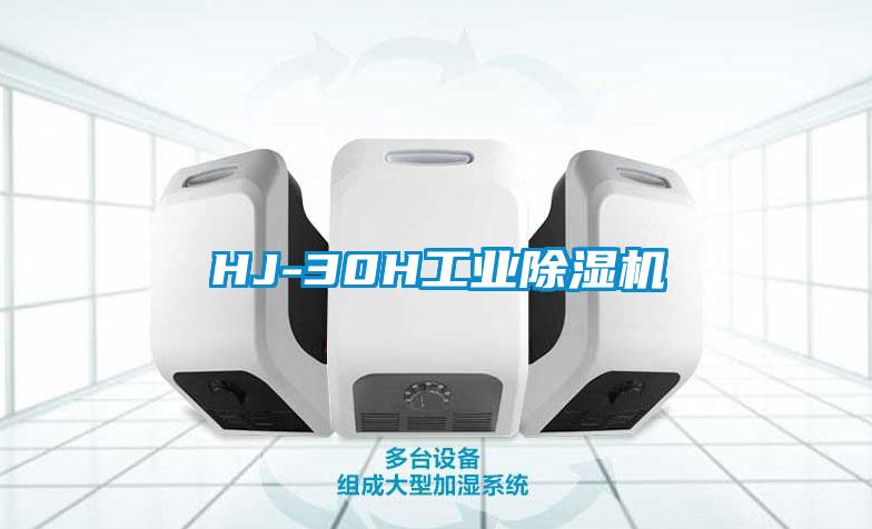 HJ-30H工业除湿机