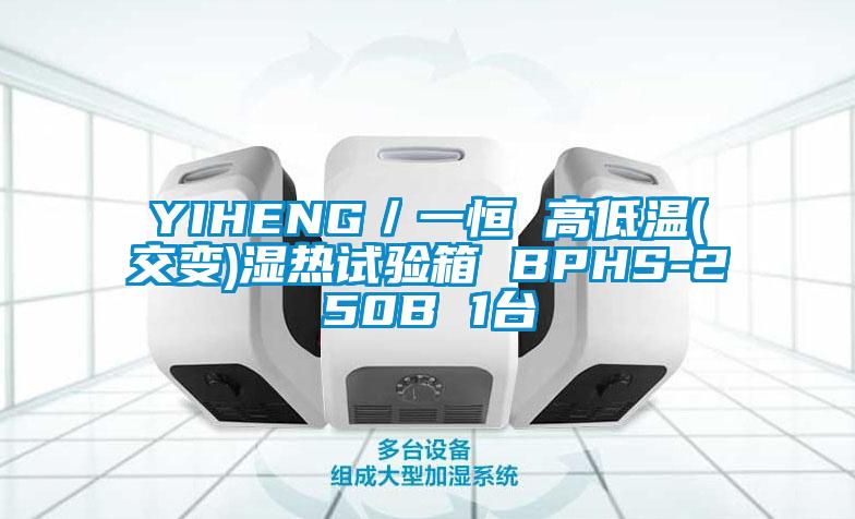 YIHENG/一恒 高低温(交变)湿热试验箱 BPHS-250B 1台