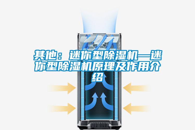 其他:迷你型除湿机—迷你型除湿机原理及作用介绍