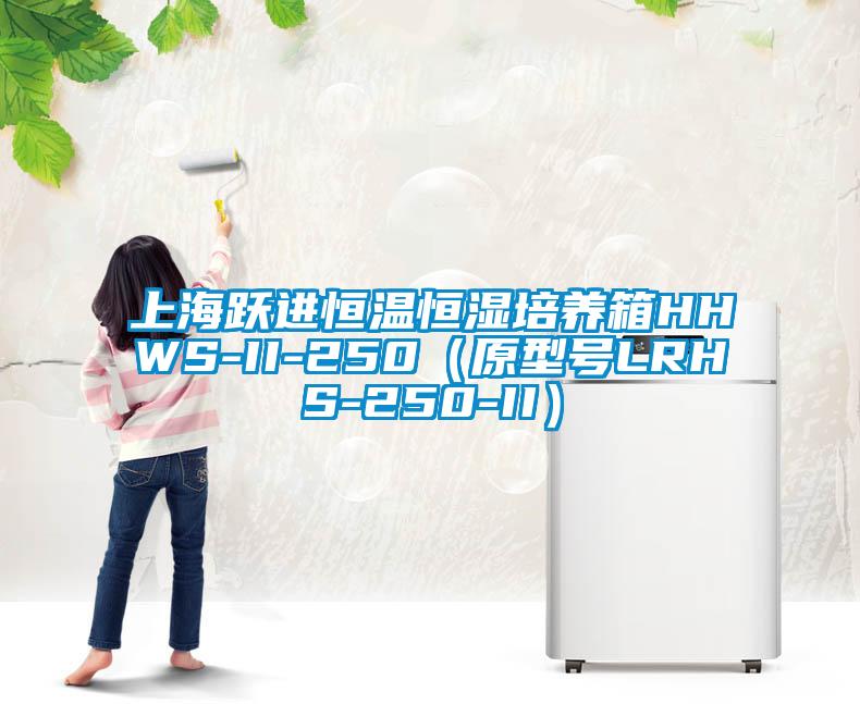 上海跃进恒温恒湿培养箱HHWS-II-250(原型号LRHS-250-II)